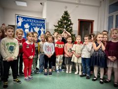 większy obrazek nr 14