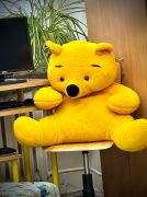 większy obrazek nr 14