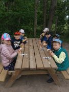 większy obrazek nr 16